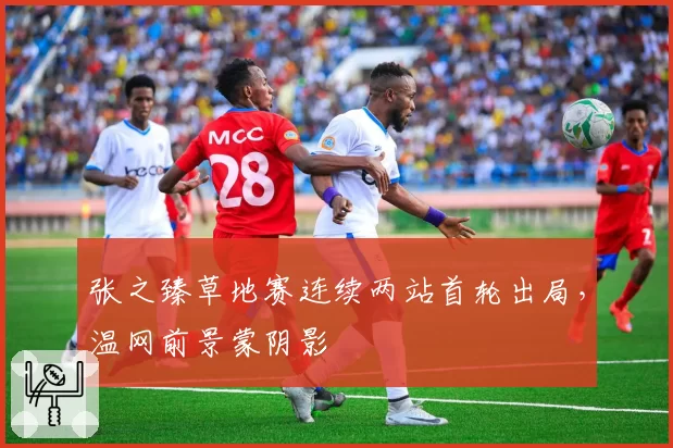 张之臻草地赛连续两站首轮出局,温网前景蒙阴影