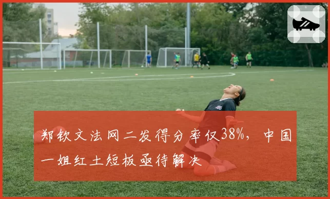 郑钦文法网二发得分率仅38%，中国一姐红土短板亟待解决