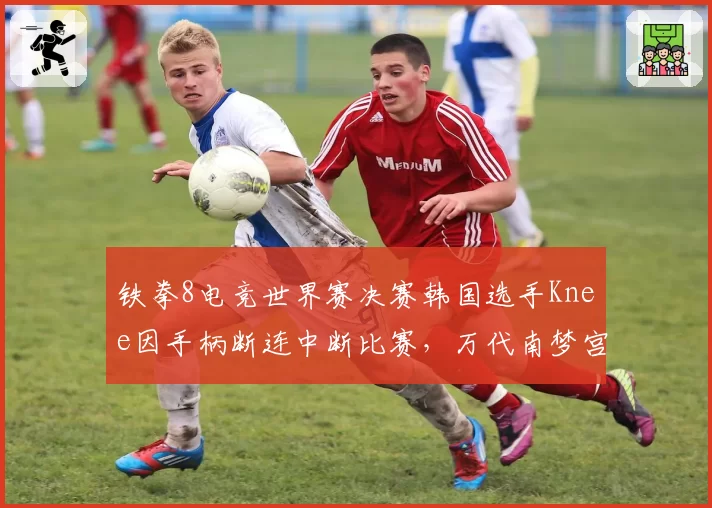 铁拳8电竞世界赛决赛韩国选手Knee因手柄断连中断比赛,万代南梦宫遭观众嘘声