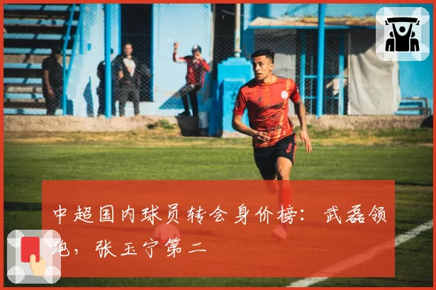 中超国内球员转会身价榜：武磊领跑，张玉宁第二